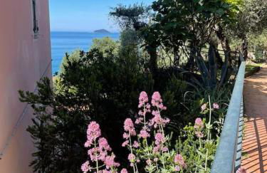 Casa Marina - Photo 19