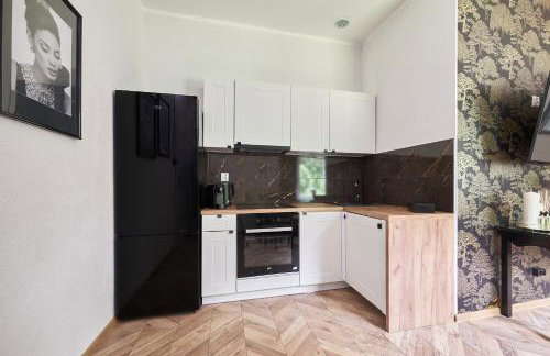 Art Apartment Grzmiąca - Foto 5