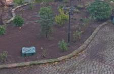 Winzerhaus Rissweg 15 - Foto 11