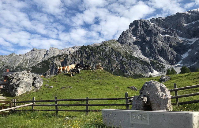 Chalet in Dienten With Ski-in Access - Foto 32