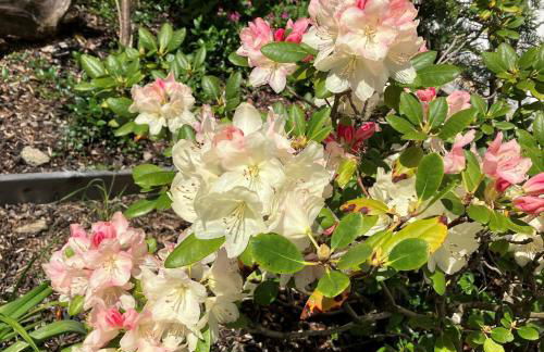 Ferien im Kühbergstadl - Foto 17