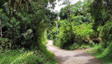 Chalé do Lopo - Photo 5