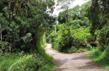 Chalé do Lopo - Photo 5