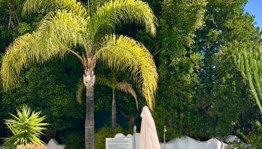 Luxury apartment in La Isla, Puerto Banus - Photo 4