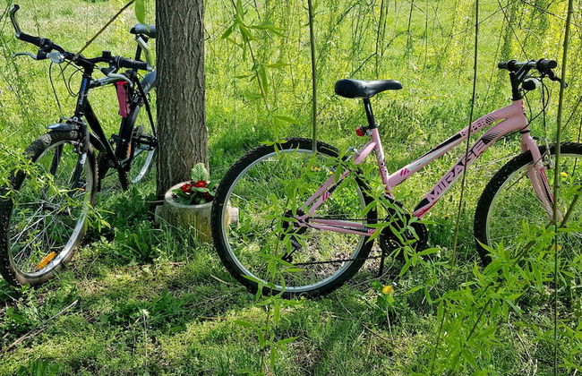 Cascina Moretta - Foto 27