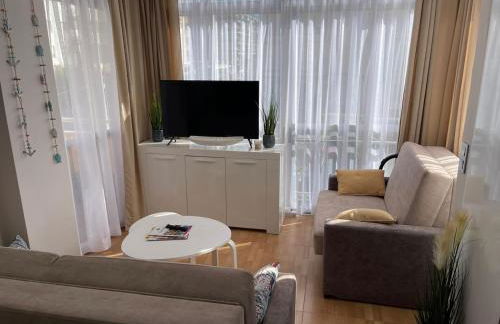 Apartamento Ivon Solo Familias - Foto 2