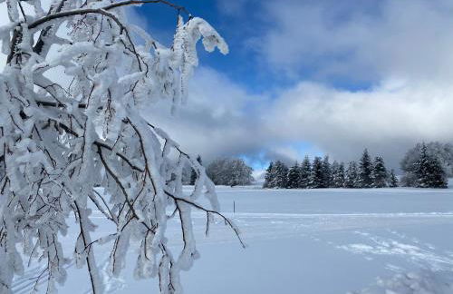 Ferienwohnung Werraquell Hütte - Foto 15