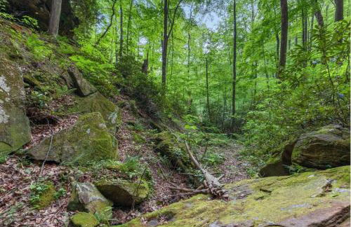 Beech Timber- 30 Acre Secluded Glamping in RRG - Foto 42