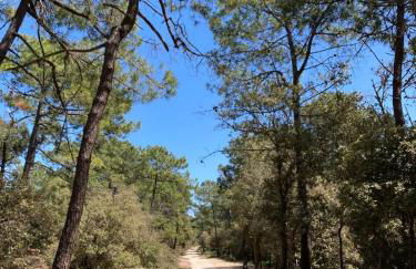 Les Joublanchas : Maison familiale mer et campagne pour 16 - Photo 31