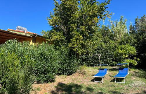 Appartamenti Sterlizia 2 - Foto 33