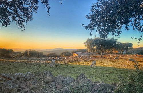 CASA RURAL LOS ALTOS - Foto 59