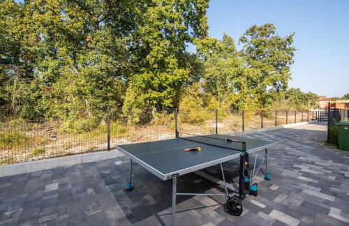 Villa Pina***** in Karigador/Novigrad - Foto 33