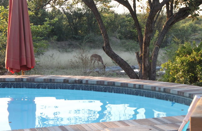 Silonque Bush Estate & Spa - Foto 16