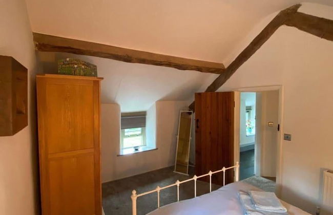 Idlewild Animal Sanctuary Farmhouse Stay - Charity - Photo 43