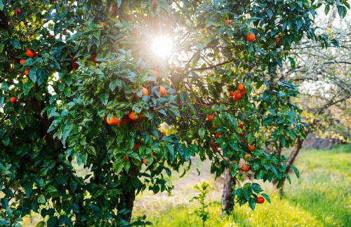 Solar das Bouças by Quantique - Foto 77