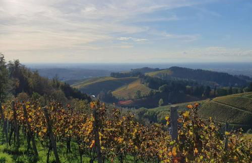 Ferienwohnung in Durbach- Urlaub am Weinberg - Foto 25