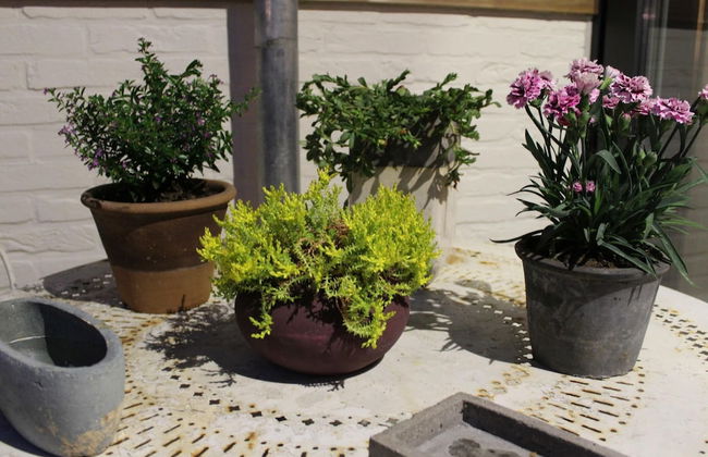 Wonderful Country House With Huge Garden - Photo 33