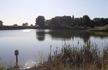 Orzechowy Dworek - Foto 26