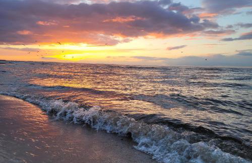 Familienurlaub 8 Personen Ferienhaus Polen Urlaub Insel Wolin Ostsee Ferienwohnung - Foto 31