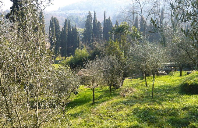 Rustic House in Tuscany With Shared Pool - Foto 12