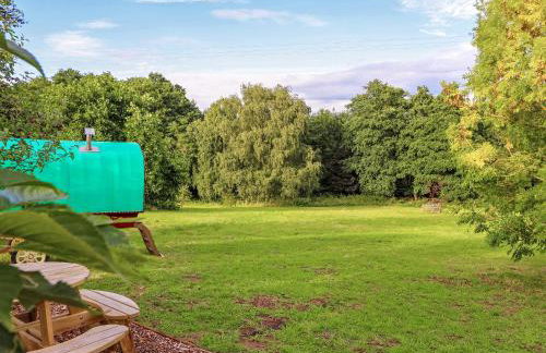 Copperbeech Bowtop - Foto 3