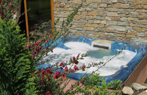 Chalet Le Bordarriben sauna & spa - Foto 4