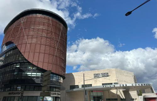 Bel appartement spacieux , lumineux, proche Dijon centre auditorium - Foto 33