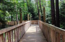 Chwile w Starym Sączu, sauna i beczka - Foto 35