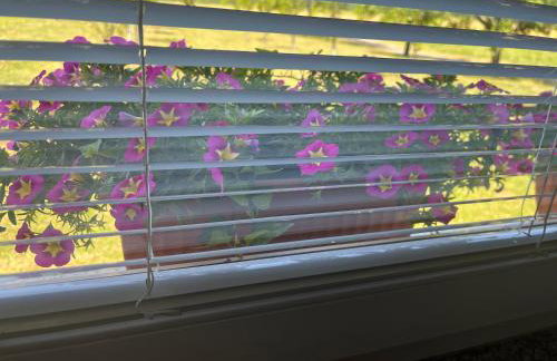 Holiday Home Božica - Photo 15