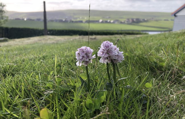 Easterhoull Chalets - Photo 46