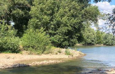 Hausboot fünf19 - Foto 17