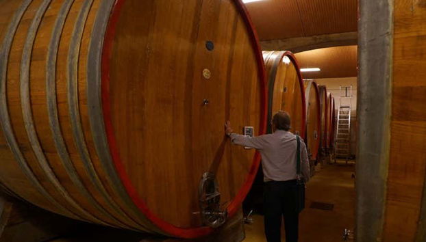 Valpolicella Electric Bike Wine Tour - Foto 5