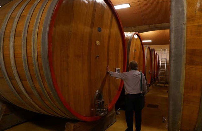 Tour del vino en bicicleta eléctrica por Valpolicella - Foto 5