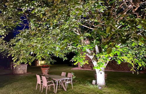 Agriturismo L'Antica Quercia - Foto 49