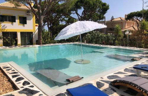 CASA DOS CATOS - Foto 39