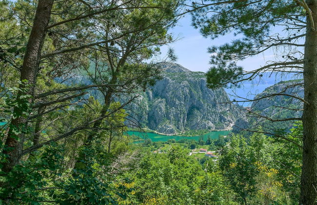 House Cattleya - Photo 35