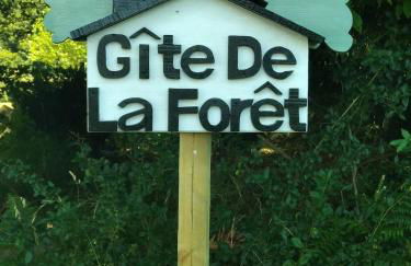 Gite de la foret - Foto 17