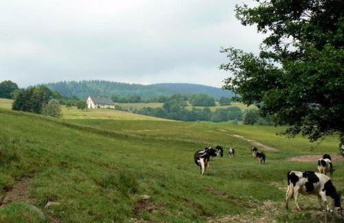 Les Pruniers - Orbey - Foto 7