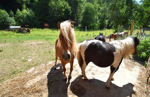 Charmante Ferienwohnung mit Garten in Huddingen - Photo 60