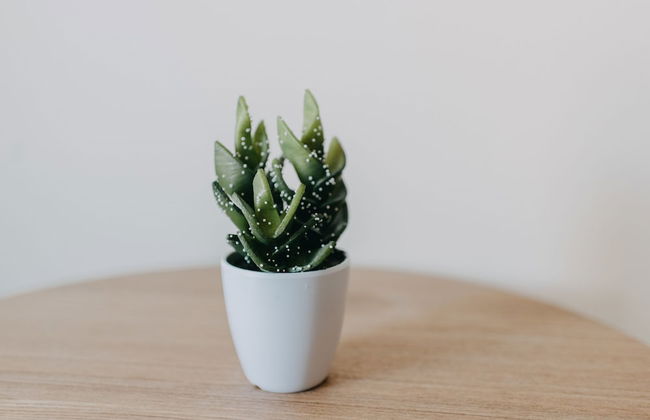 Best House Nirvana Patra - Foto 17