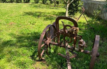 Studio Apartmani Sladakovic - Foto 35