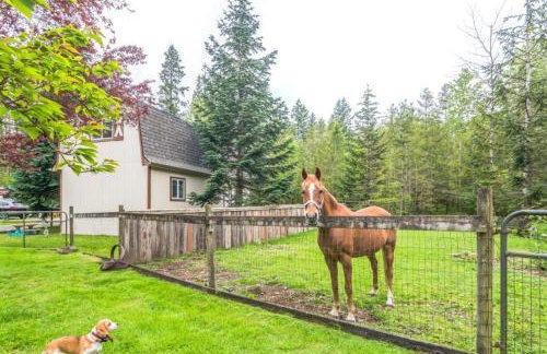 Cozy Country cottage - Foto 11