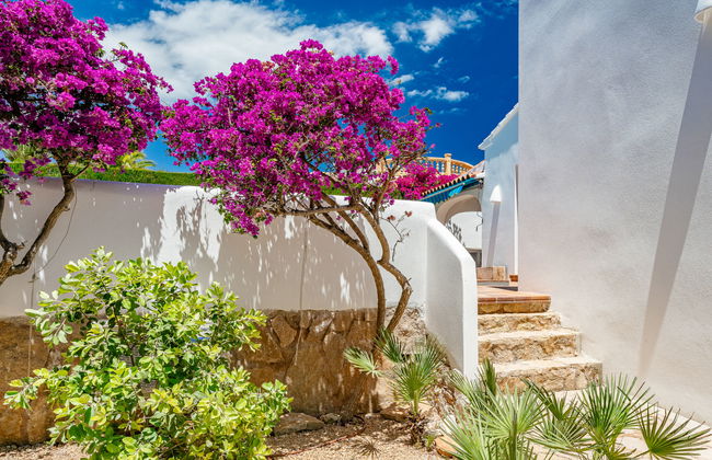 Amazing Views - Foto 64