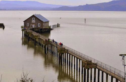 Tiki Escape w/ Amazing Mountain and Marsh Backdrop - Foto 6