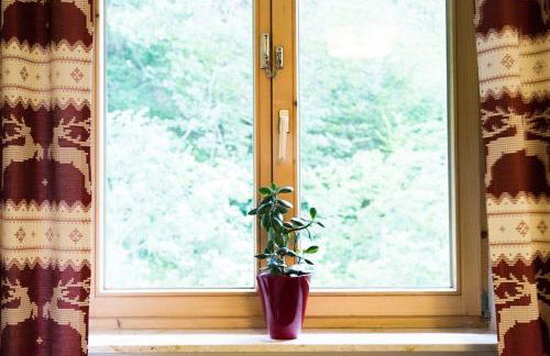 Wildgrün Panorama Lodge 15 - Foto 8