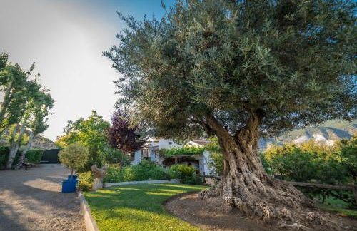 Al Agia - Molino Mísqueres de Padul - Foto 23