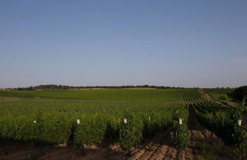 Agriturismo Poggio al Tufo - Foto 90