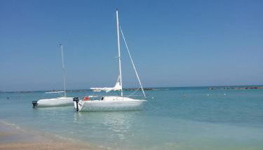 Giardino delle rose - Foto 4