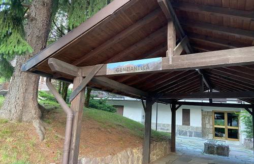 Casa Vacanze TraMonti da M&M - Casargo - Foto 41