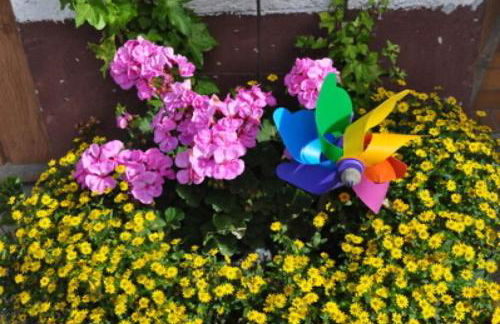 Ferienwohnungen große Albferien - Foto 58